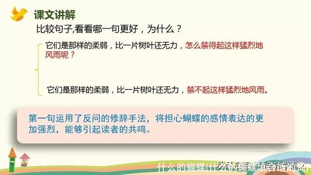 什么的蝴蝶(什么的蝴蝶填合适的词)