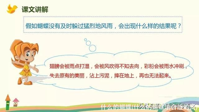 什么的蝴蝶(什么的蝴蝶填合适的词)