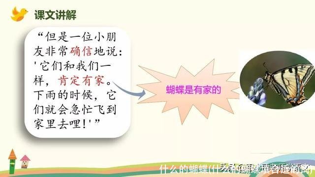 什么的蝴蝶(什么的蝴蝶填合适的词)