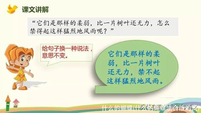 什么的蝴蝶(什么的蝴蝶填合适的词)