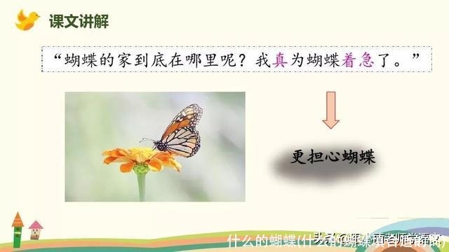 什么的蝴蝶(什么的蝴蝶填合适的词)