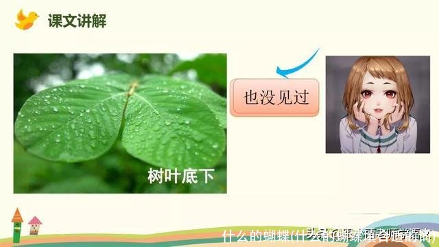 什么的蝴蝶(什么的蝴蝶填合适的词)