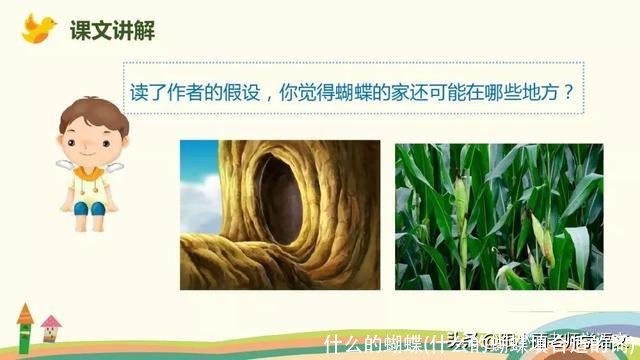 什么的蝴蝶(什么的蝴蝶填合适的词)