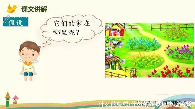 什么的蝴蝶(什么的蝴蝶填合适的词)