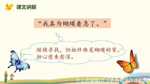 什么的蝴蝶(什么的蝴蝶填合适的词)