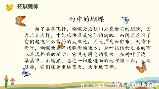 什么的蝴蝶(什么的蝴蝶填合适的词)