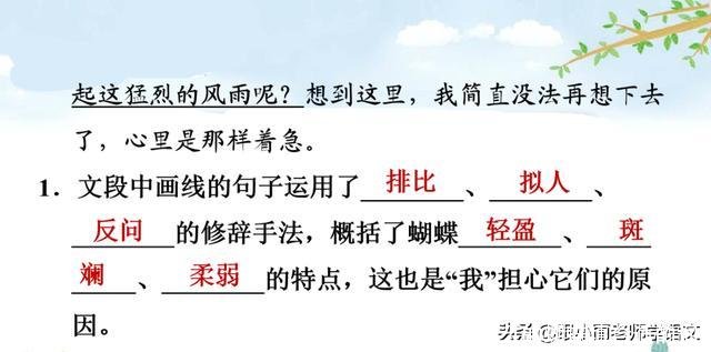 什么的蝴蝶(什么的蝴蝶填合适的词)