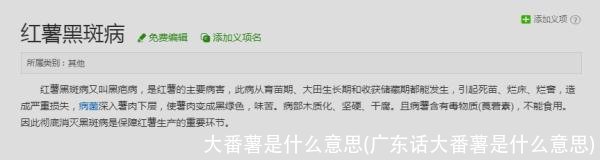 大番薯是什么意思(广东话大番薯是什么意思)