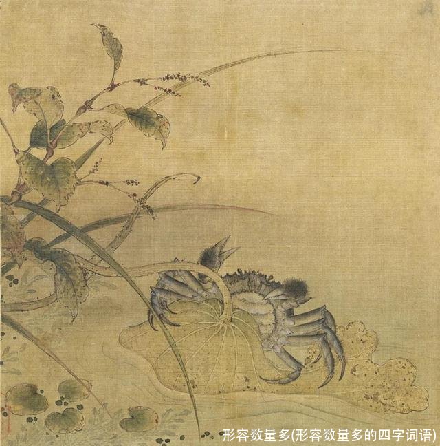 形容数量多(形容数量多的四字词语)