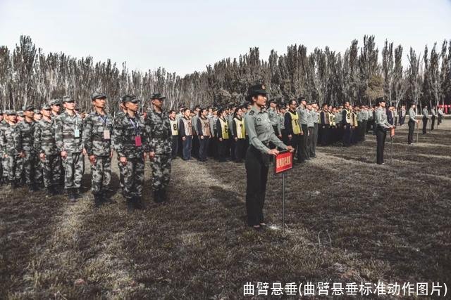 曲臂悬垂(曲臂悬垂标准动作图片)