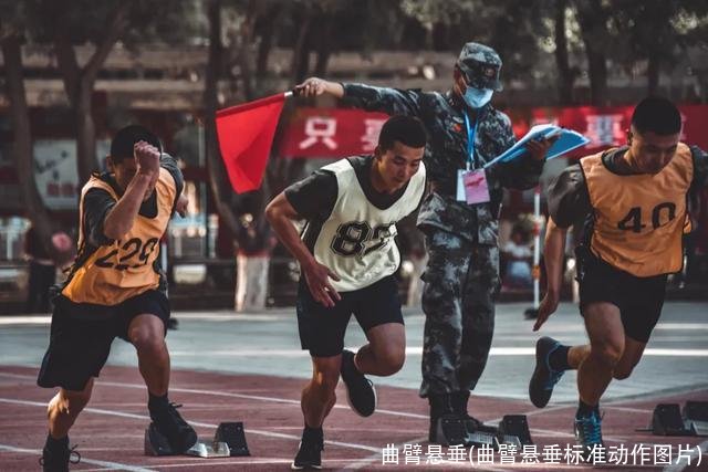 曲臂悬垂(曲臂悬垂标准动作图片)