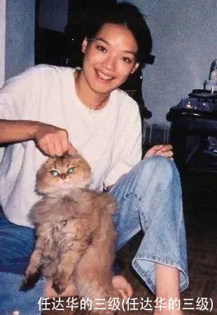 任达华的三级(任达华的三级)