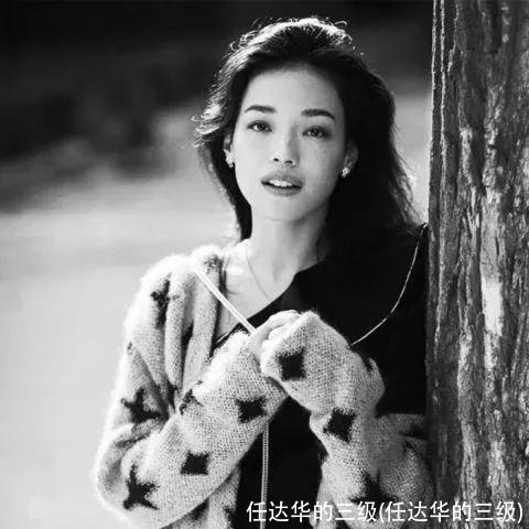 任达华的三级(任达华的三级)