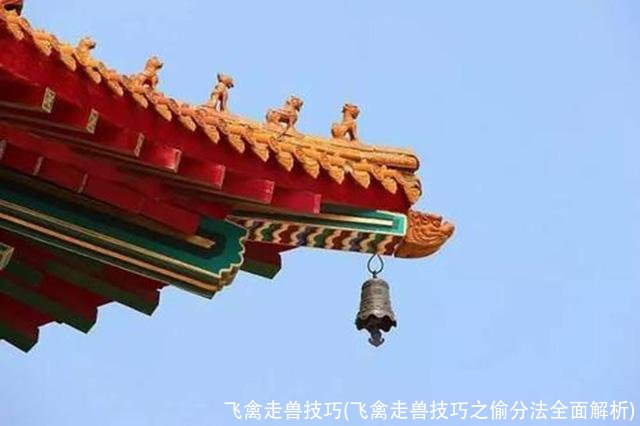 飞禽走兽技巧(飞禽走兽技巧之偷分法全面解析)