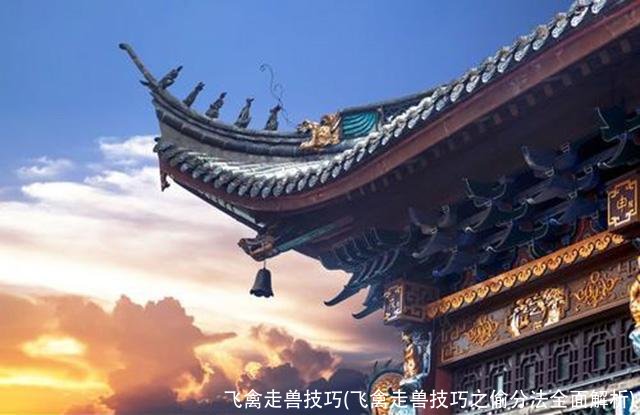 飞禽走兽技巧(飞禽走兽技巧之偷分法全面解析)