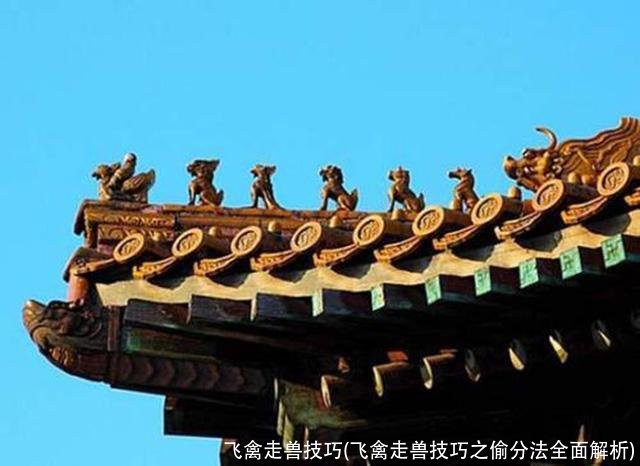 飞禽走兽技巧(飞禽走兽技巧之偷分法全面解析)