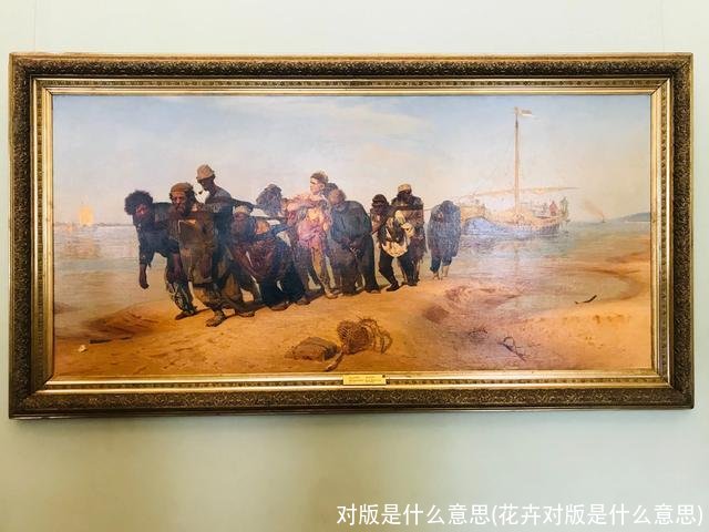 对版是什么意思(花卉对版是什么意思)