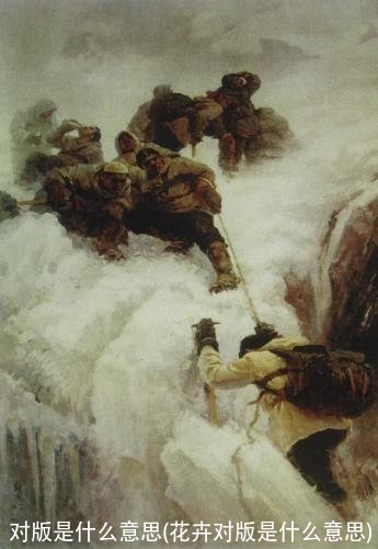 对版是什么意思(花卉对版是什么意思)