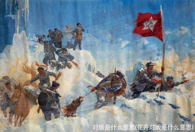 对版是什么意思(花卉对版是什么意思)