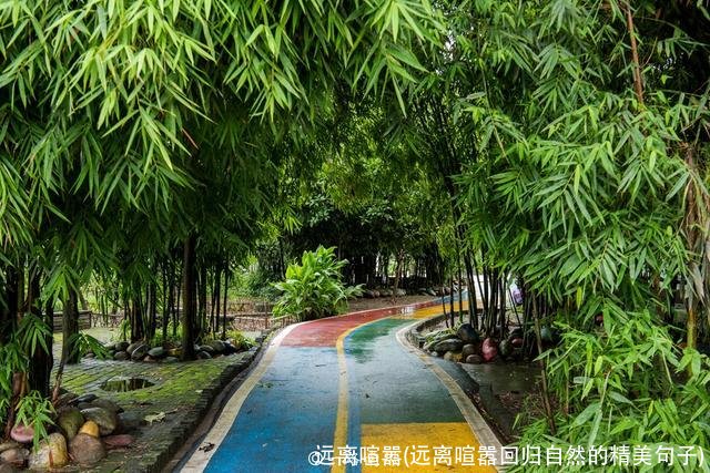 远离喧嚣(远离喧嚣回归自然的精美句子)