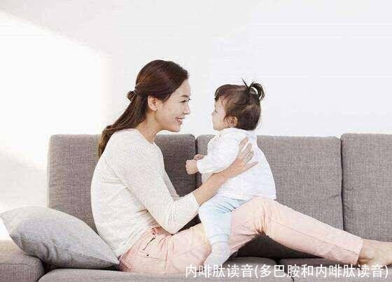 内啡肽读音(多巴胺和内啡肽读音)