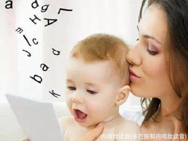 内啡肽读音(多巴胺和内啡肽读音)