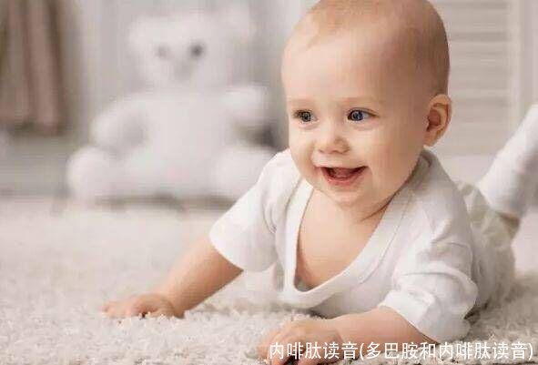 内啡肽读音(多巴胺和内啡肽读音)