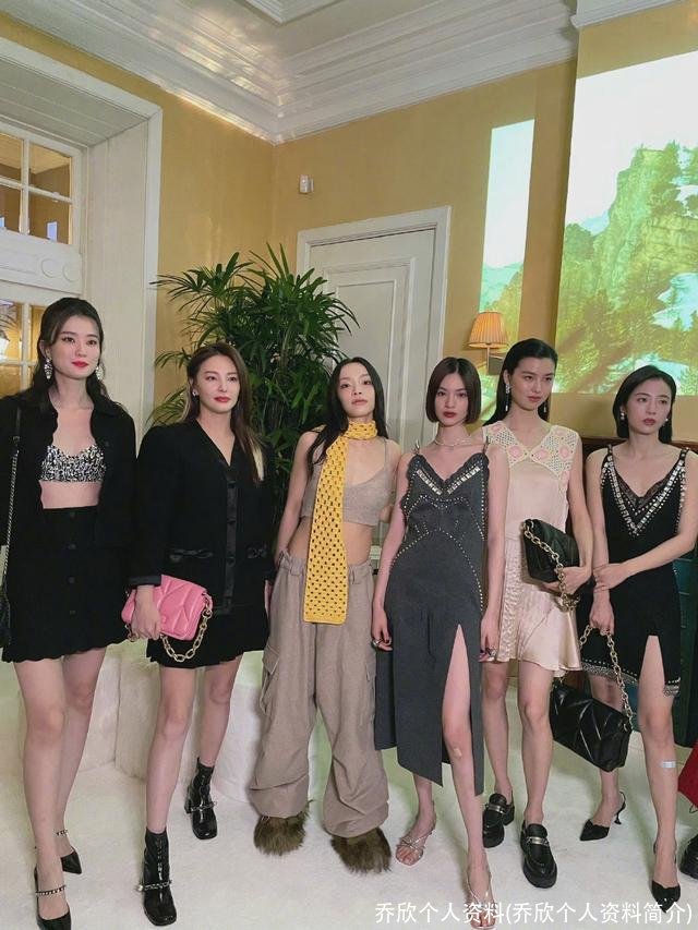 乔欣个人资料(乔欣个人资料简介)