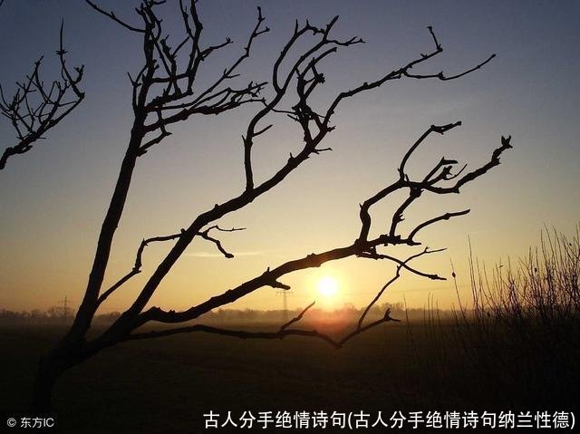 古人分手绝情诗句(古人分手绝情诗句纳兰性德)