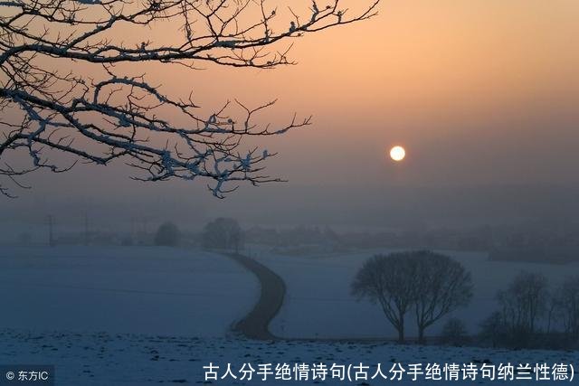 古人分手绝情诗句(古人分手绝情诗句纳兰性德)