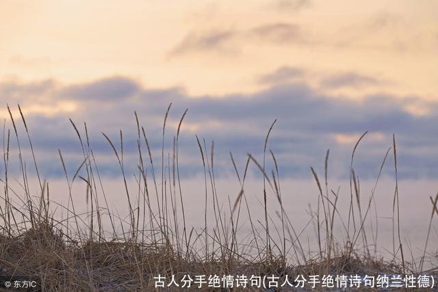 古人分手绝情诗句(古人分手绝情诗句纳兰性德)