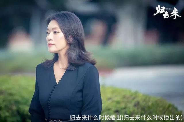 归去来什么时候播出(归去来什么时候播出的)