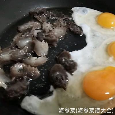 海参菜(海参菜谱大全)