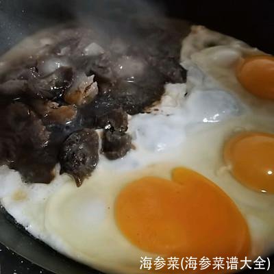 海参菜(海参菜谱大全)