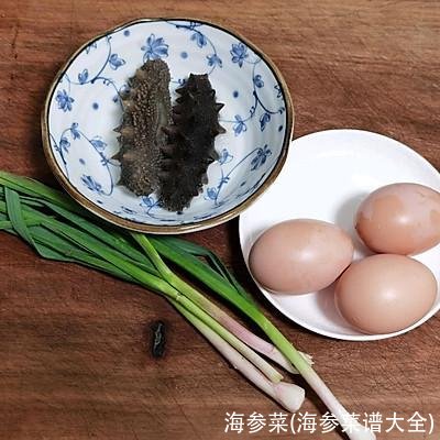 海参菜(海参菜谱大全)