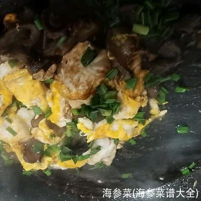 海参菜(海参菜谱大全)