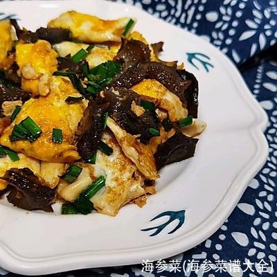 海参菜(海参菜谱大全)