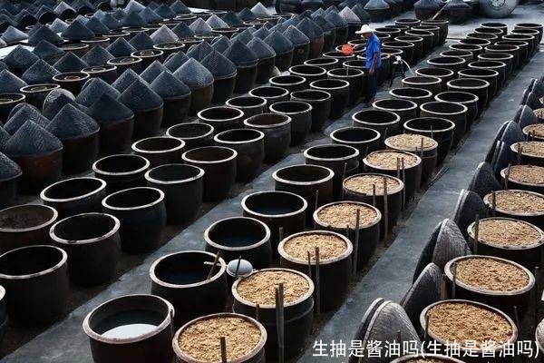 生抽是酱油吗(生抽是酱油吗)