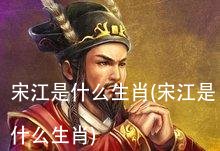 宋江是什么生肖(宋江是什么生肖)