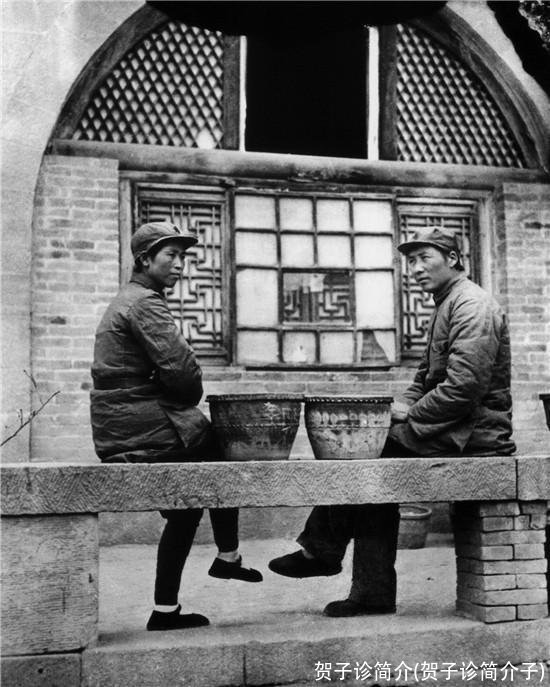 贺子诊简介(贺子诊简介子)