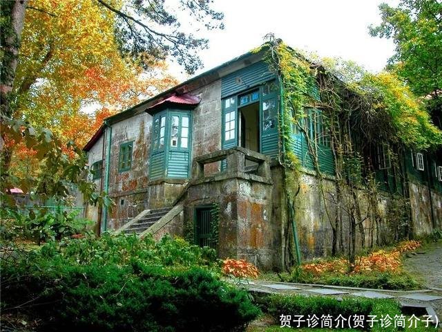 贺子诊简介(贺子诊简介子)