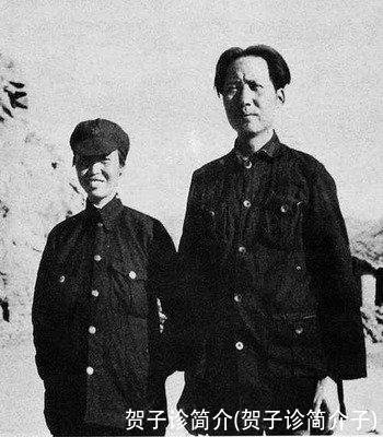 贺子诊简介(贺子诊简介子)