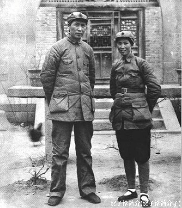 贺子诊简介(贺子诊简介子)