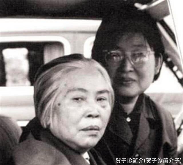 贺子诊简介(贺子诊简介子)