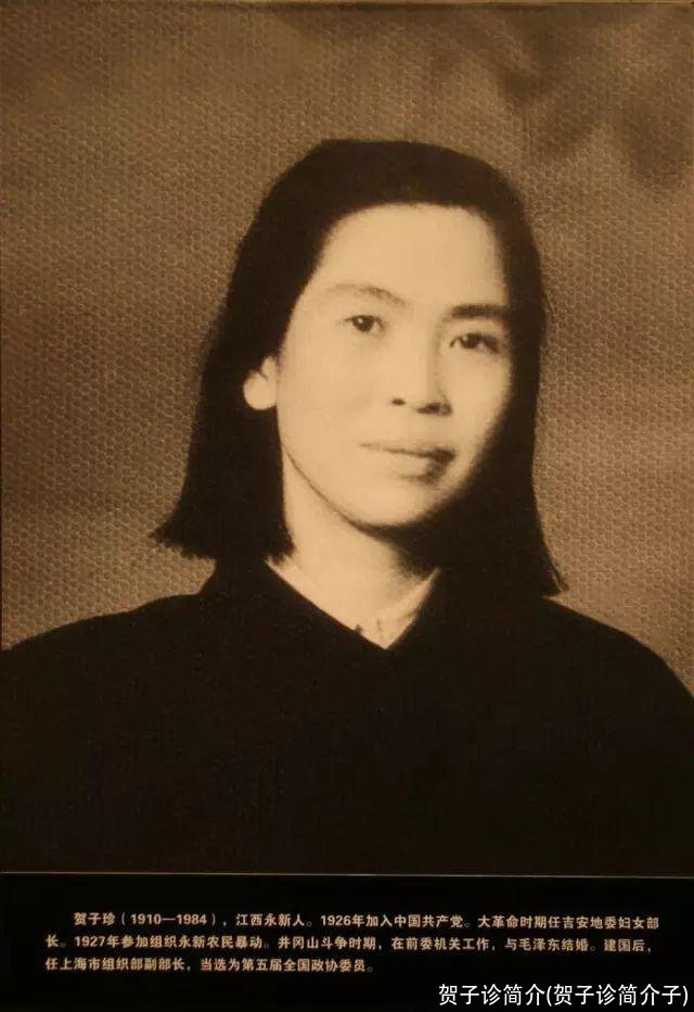 贺子诊简介(贺子诊简介子)