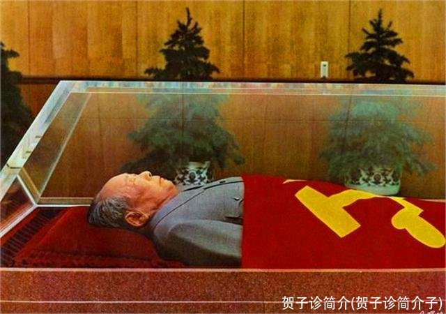 贺子诊简介(贺子诊简介子)