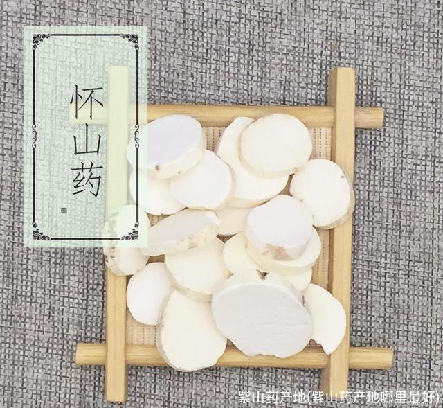 紫山药产地(紫山药产地哪里最好)