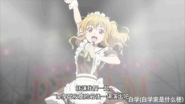 白学(白学家是什么梗)