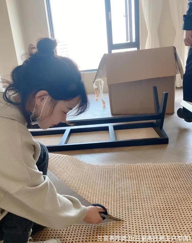 三室两厅两卫(三室两厅两卫户型图)