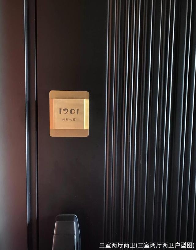 三室两厅两卫(三室两厅两卫户型图)